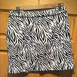 Zebra Print Women's Skirt